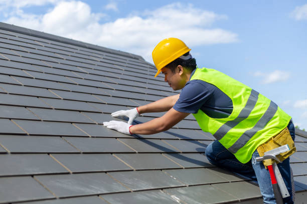 Best Roof Gutter Cleaning  in Oak Hill, OH